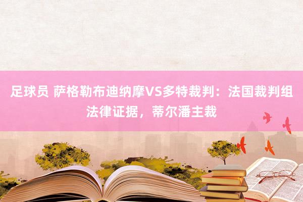 足球员 萨格勒布迪纳摩VS多特裁判：法国裁判组法律证据，蒂尔潘主裁