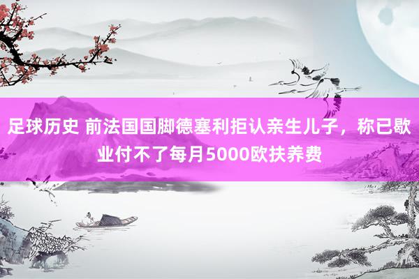 足球历史 前法国国脚德塞利拒认亲生儿子，称已歇业付不了每月5000欧扶养费