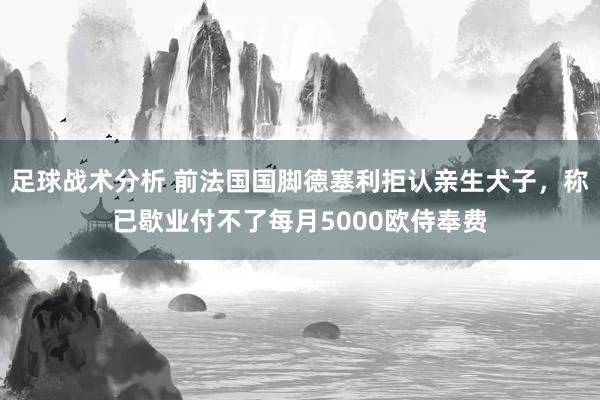 足球战术分析 前法国国脚德塞利拒认亲生犬子，称已歇业付不了每月5000欧侍奉费