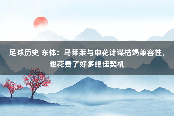 足球历史 东体：马莱莱与申花计谋枯竭兼容性，也花费了好多绝佳契机