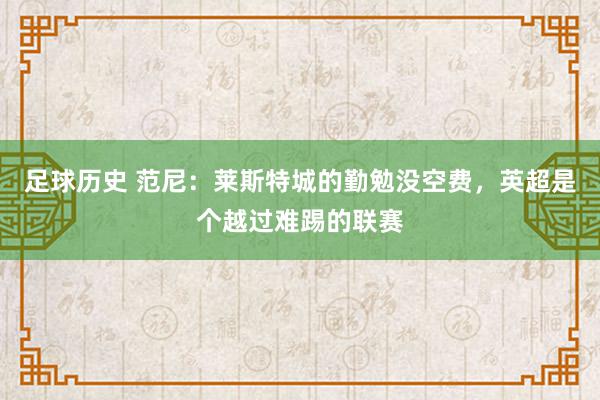 足球历史 范尼：莱斯特城的勤勉没空费，英超是个越过难踢的联赛