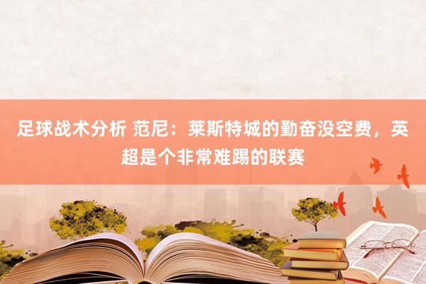 足球员 范尼：莱斯特城的死力没空费，英超是个相配难踢的联赛