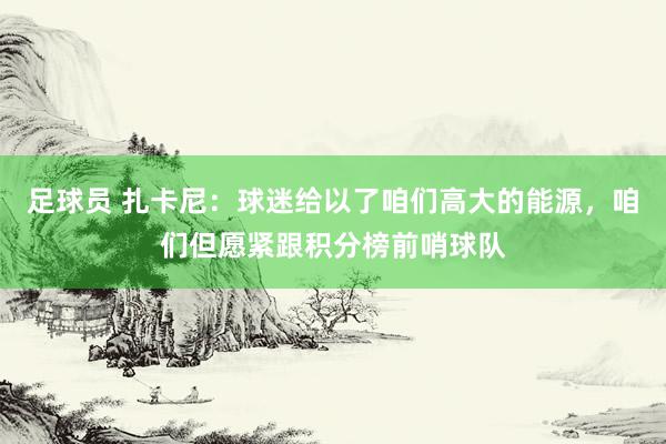 足球员 扎卡尼：球迷给以了咱们高大的能源，咱们但愿紧跟积分榜前哨球队