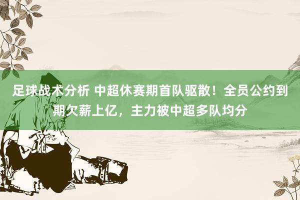 足球战术分析 中超休赛期首队驱散！全员公约到期欠薪上亿，主力被中超多队均分